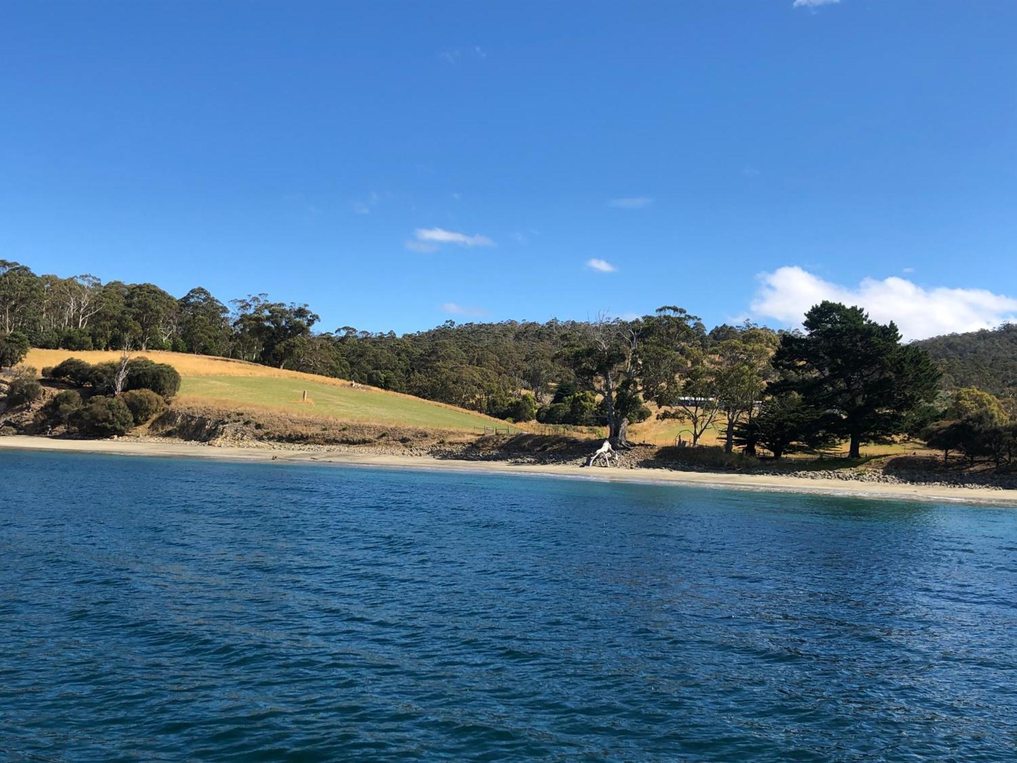 The Woolshed And Farmhouse Blue, Bruny Island Barnes Bay Eksteriør billede
